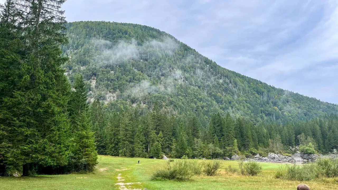 Louka a zalesněné svahy u jezer Fusine