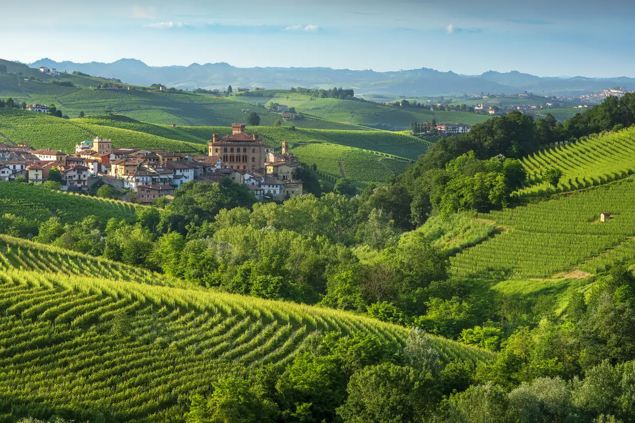 Městečko Barolo s hradem Falletti mezi vinicemi Langhe v Piemontu